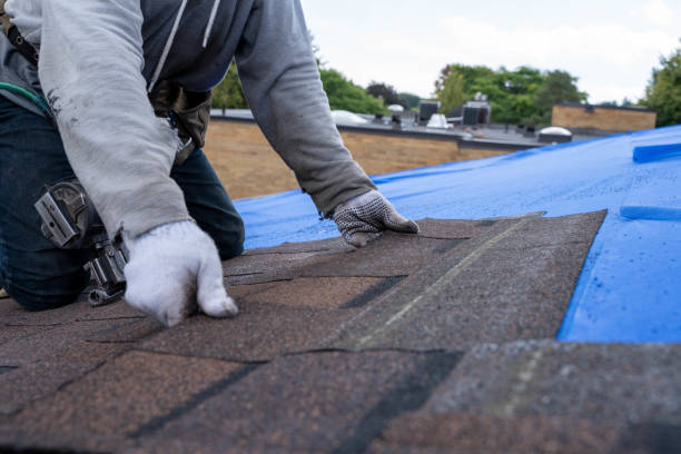 Best Best Roofing Contractors  in North Corbin, KY